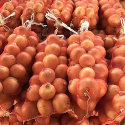 基地批发紫皮食用洋葱 酒店饭店 餐厅新鲜大圆洋葱 purple onion图3