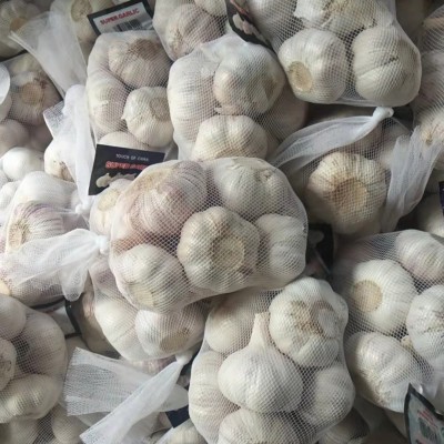 产地garlic 山东大喜食品供应出口级别大蒜规格齐全5/5.5/6.0CM图2