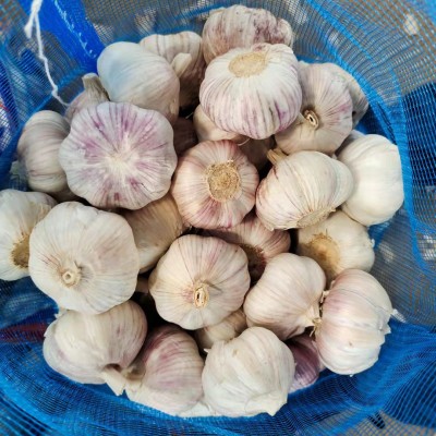 产地garlic 山东大喜食品供应出口级别大蒜规格齐全5/5.5/6.0CM图4