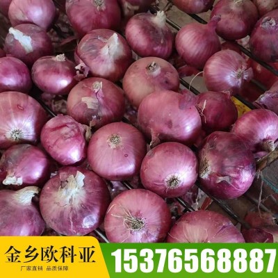 产地garlic 山东大喜食品供应出口级别大蒜规格齐全5/5.5/6.0CM图9