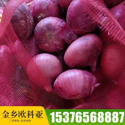 产地garlic 山东大喜食品供应出口级别大蒜规格齐全5/5.5/6.0CM图8