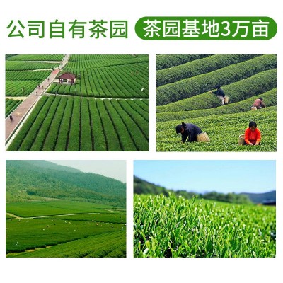 茶乾坤浓香碳焙四季春清香茉莉乌龙 黄金桂龙珠铁观音茶叶茶底图4