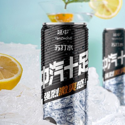 【延中】苏打气泡水罐装330ml*24罐/箱 原味无糖苏打气泡饮料饮品图3