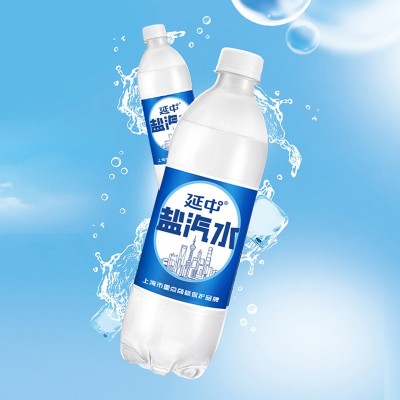 延中盐汽水老上海解渴600ml*20瓶/箱碳酸饮料饮品整箱批发0脂肪图2