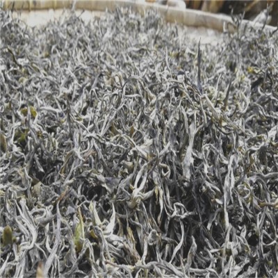 滇翠_云南老班章小树茶_普洱茶古树料_大叶种晒青茶_茶厂批发价格图3