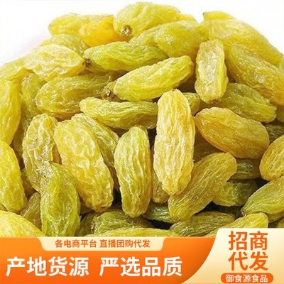 吐鲁番黄葡萄干代发批发500g 大颗无沙树上黄提子蜜饯果干葡萄干
