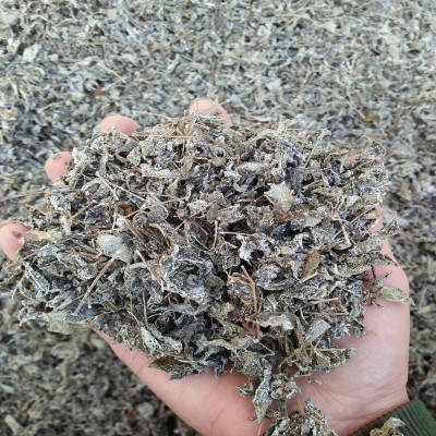 湖南产地直供批发莓茶定制加工手工炒制霉茶花草茶夏季成叶藤茶图2