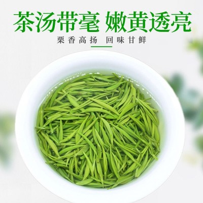 四川原产毛尖茶叶2024年新茶浓香型绿茶明前头采春茶250g批发图3