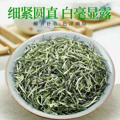 四川原产毛尖茶叶2024年新茶浓香型绿茶明前头采春茶250g批发
