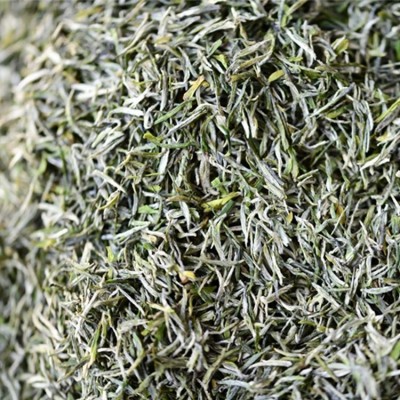 新茶叶明前高山云雾 炒青春茶 日照充足 浓香散装茶怡品图3
