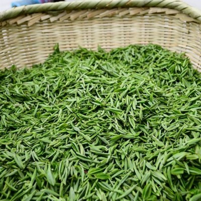 茶叶批发 绿茶新茶 散装明前春茶毛尖高山云雾嫩芽 怡品茶厂图2
