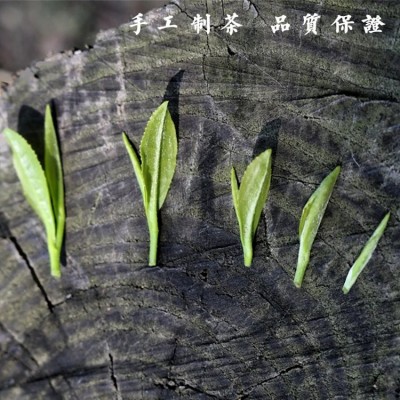 2024新茶明前绿茶 正宗毛尖茶叶 口感醇厚 怡品茶厂图3