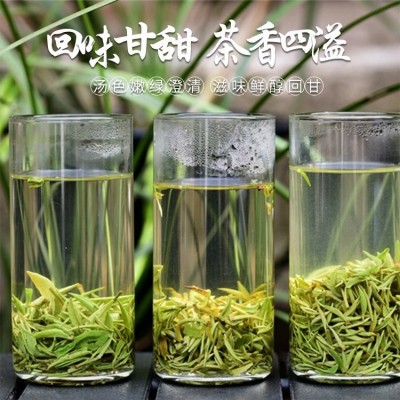 2024新茶明前绿茶 正宗毛尖茶叶 口感醇厚 怡品茶厂