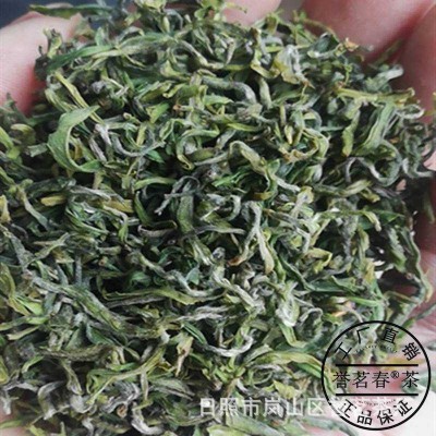 日照绿茶2024新茶散装板栗香炒青高山农家茶叶500g浓香型图3