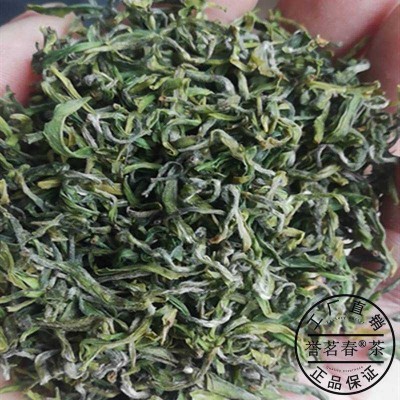 茶叶绿茶日照绿茶一芽一叶清香型袋装茶叶500g包邮图2