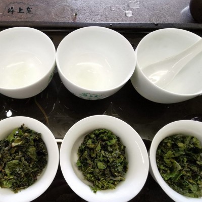 新茶鲜香型拖酸安溪铁观音散装茶叶大量批发卖相好经济实惠性价比图2