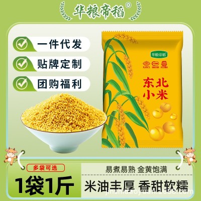 【华粮帝稻】新东北黄小米500g 五谷杂粮 小黄米黑龙江原产地特产