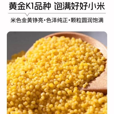 【华粮帝稻】新东北黄小米500g 五谷杂粮 小黄米黑龙江原产地特产图3