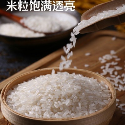 【华粮帝稻】五常大米1斤包装 随手礼500g 新米 原产地五常市发货图3