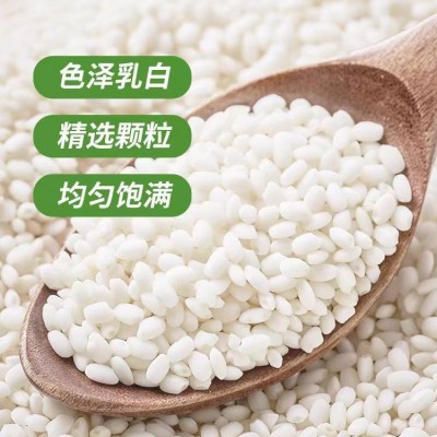 五常糯米2.5kg 圆糯米端午节新米江米包粽子专用酿酒商用 粘米批发图3