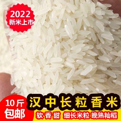 大米新货陕西汉中产地大米长粒香米贡米农家自种优质大米籼米粳米图2