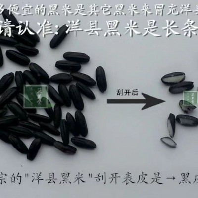 新米洋县黑米五谷杂粮陕西洋县特产粗粮黑大米血糯米2.kg图4