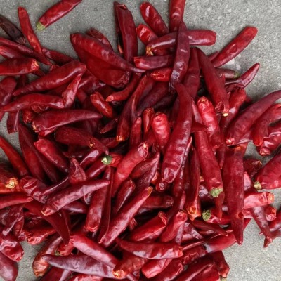 内黄新一代干辣椒香辣提色500g川菜火锅底料调味品干辣椒切断磨粉图2