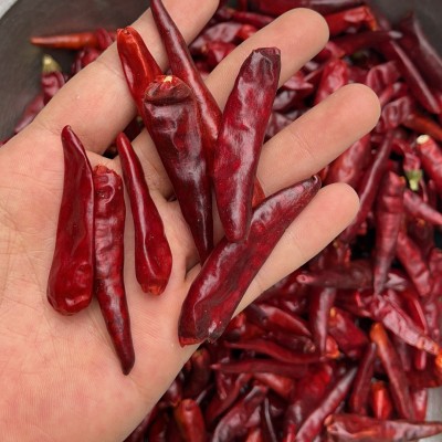 内黄新一代干辣椒香辣提色500g川菜火锅底料调味品干辣椒切断磨粉