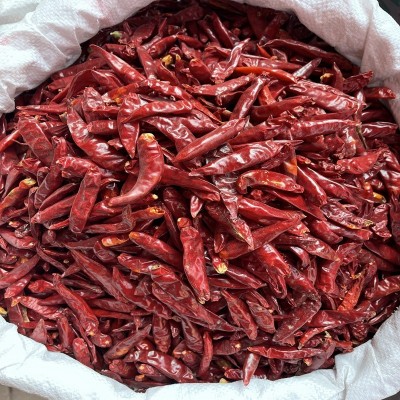 三樱椒朝天椒干红辣椒香辣500g袋装家用餐饮店火锅调味品辣椒干货图3