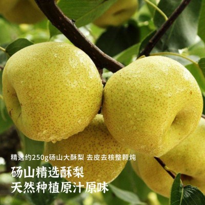 400g*6一整颗烤梨罐头礼盒装即食炖梨半成品砀山酥梨工厂 直播批发图4