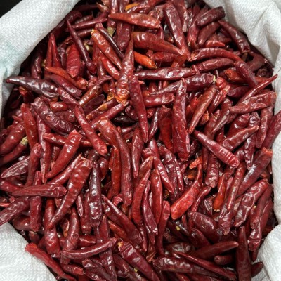 产地直营 内黄新一代辣椒辣椒段 辣椒面干辣椒火锅底料调味料500g图2