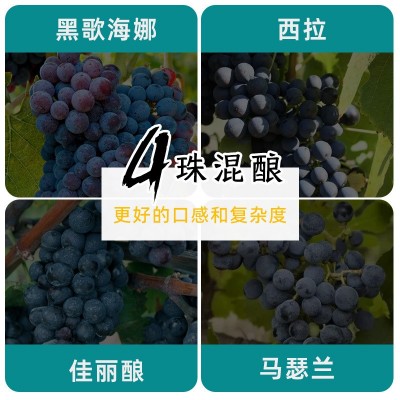 法国红酒原瓶进口高端礼盒装原装罗纳河谷AOP干红整箱葡 萄酒批发图3