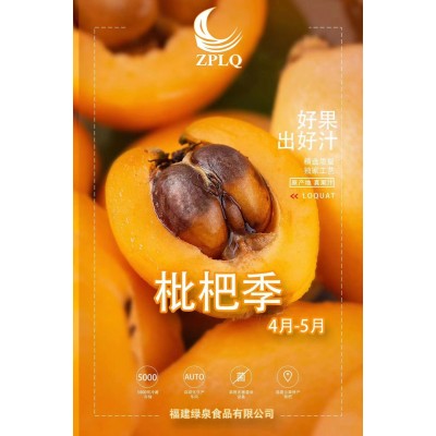 厂家直销枇杷浓缩汁32BX水果浓缩汁饮料果酒果冻果酱专用食品原料图3