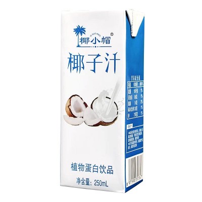 源头工厂代发椰子汁250ml10瓶代餐椰奶风味饮料畅饮图4