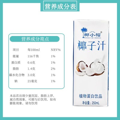 源头工厂代发椰子汁250ml10瓶代餐椰奶风味饮料畅饮