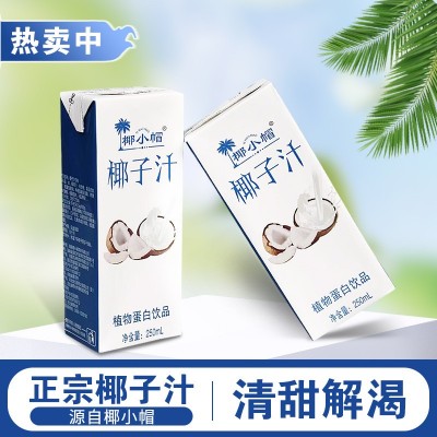 源头工厂代发椰子汁250ml10瓶代餐椰奶风味饮料畅饮图3