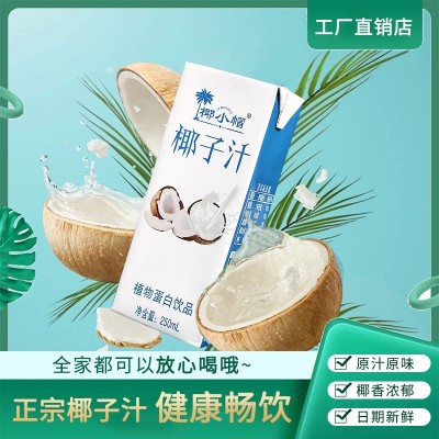 源头工厂代发椰子汁250ml10瓶代餐椰奶风味饮料畅饮图2