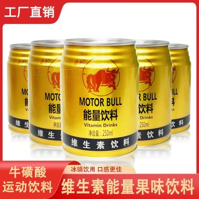 维生素功能饮料罐装24瓶*250ml整箱 源头厂家 可开发票