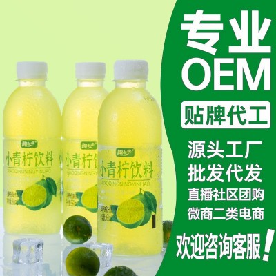 小青柠果汁饮料整箱网红夏季果味饮品360ml*6/24青柠饮料 一件代发
