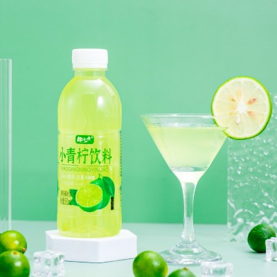 小青柠果汁饮料整箱网红夏季果味饮品360ml*6/24青柠饮料 一件代发图3