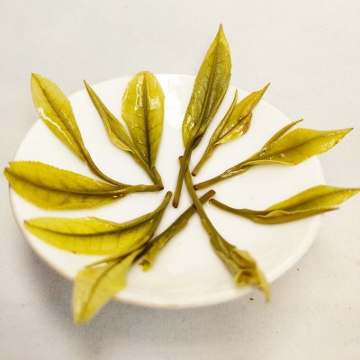 高山白茶兰花香白叶一号安吉特产遂昌雨前珍惜绿茶浙南新茶批发茶图4