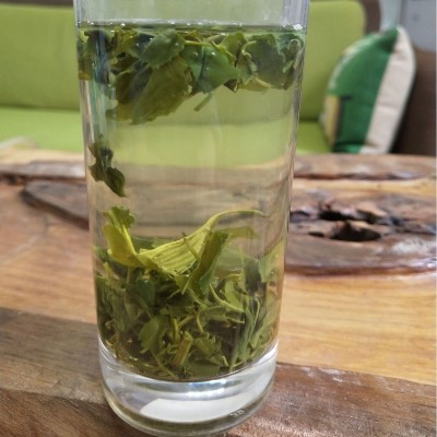 遂昌高山云雾绿茶谷雨前茶叶豆香口粮茶叶2024年新茶厂家批发散装图3