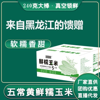 东北五常黄鲜糯玉米大棒200克真空锁鲜黑土种植粘玉米苞米玉米棒图3