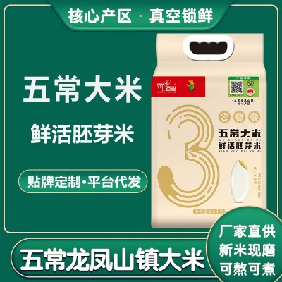 五常大米胚芽米2.5kg5斤东北新米长粒米香米大米5kg一袋厂家批发图5