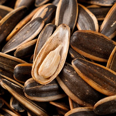 焦糖味瓜子 厂家直销批发销售葵瓜籽炒货 乐意樂意香味食品图2