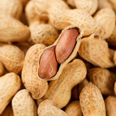 核桃味花生 厂家直销批发销售葵瓜籽炒货 乐意樂意香味食品图2