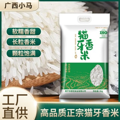 广西小马袋装茉莉香米大米长粒香米猫牙米大米5kg大包装现货供应