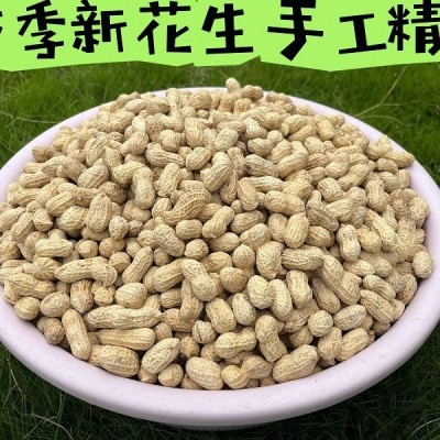 福建龙岩花生批发蒜香花生五香花生咸干下酒便利店超市KTV散装
