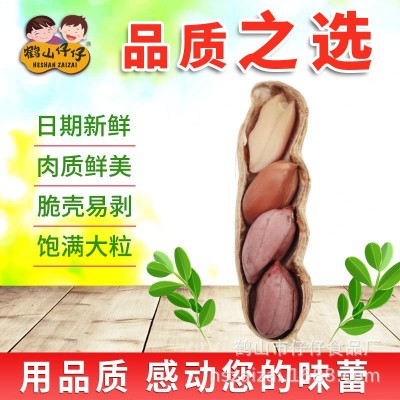 鹤山仔仔甜酒花生干果零食广东特产坚果炒货厂家批发30包400g图4