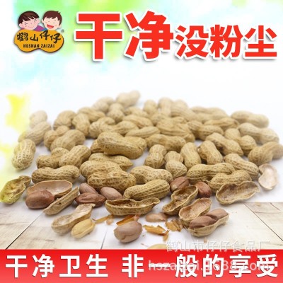 鹤山仔仔陈皮花生干果零食广东特产坚果炒货厂家批发40包300g图3